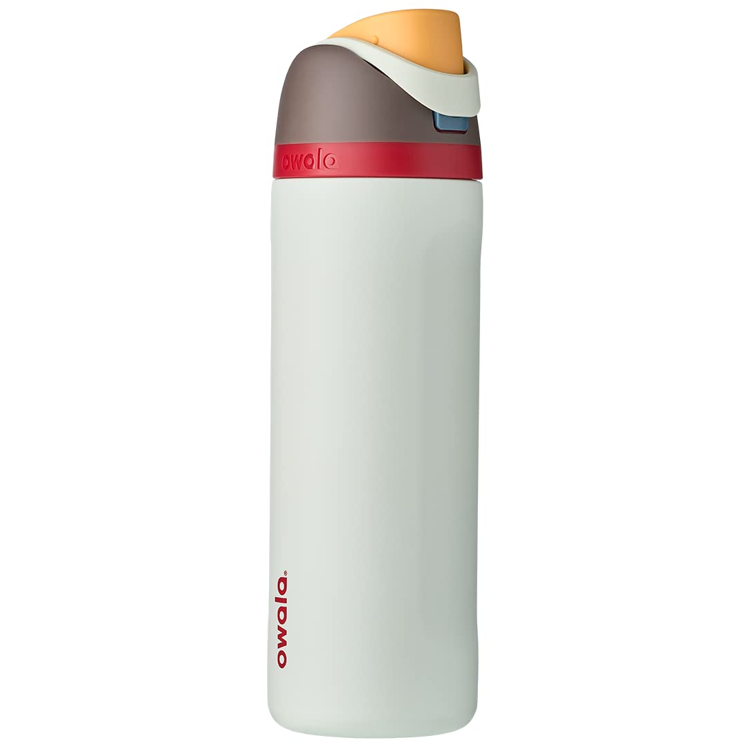 Owala Kids FreeSip Insulated Stainless Steel Water Bottle with Straw for Sports, Travel, and School, BPA-Free Sports Water Bottle, 16 oz, All The Berries